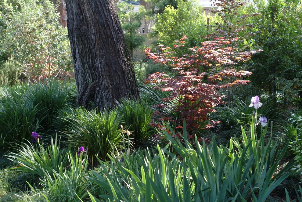 Garden Plantings by Graham Stanley & Associates - Photo 8