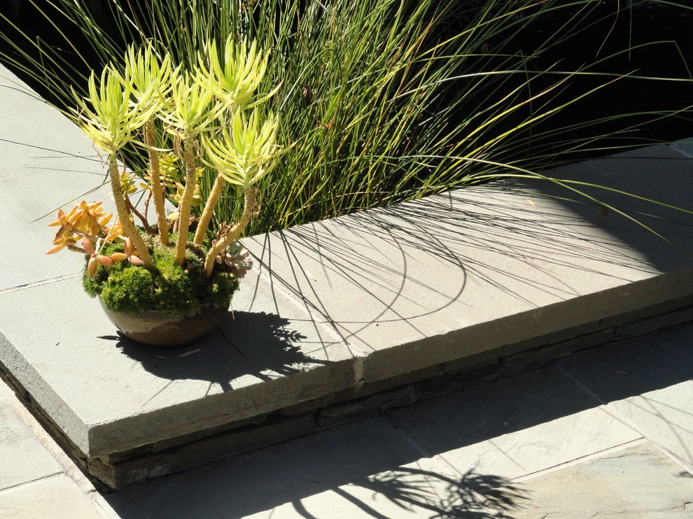 Garden Plantings by Graham Stanley & Associates - Photo 20