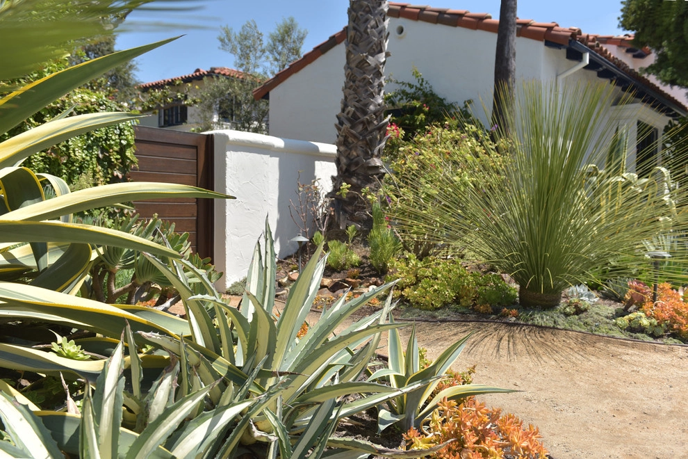 Garden Plantings by Graham Stanley & Associates - Photo 13