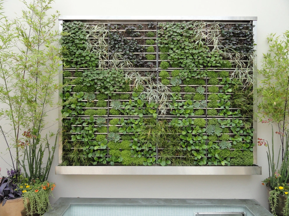 Green Walls by Graham Stanley & Associates - Photo 6