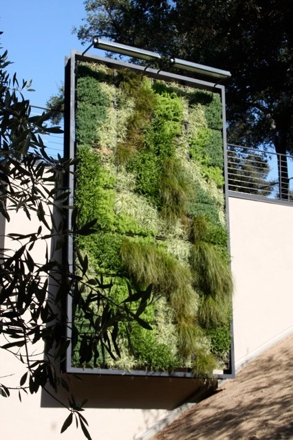 Green Walls by Graham Stanley & Associates - Photo 5
