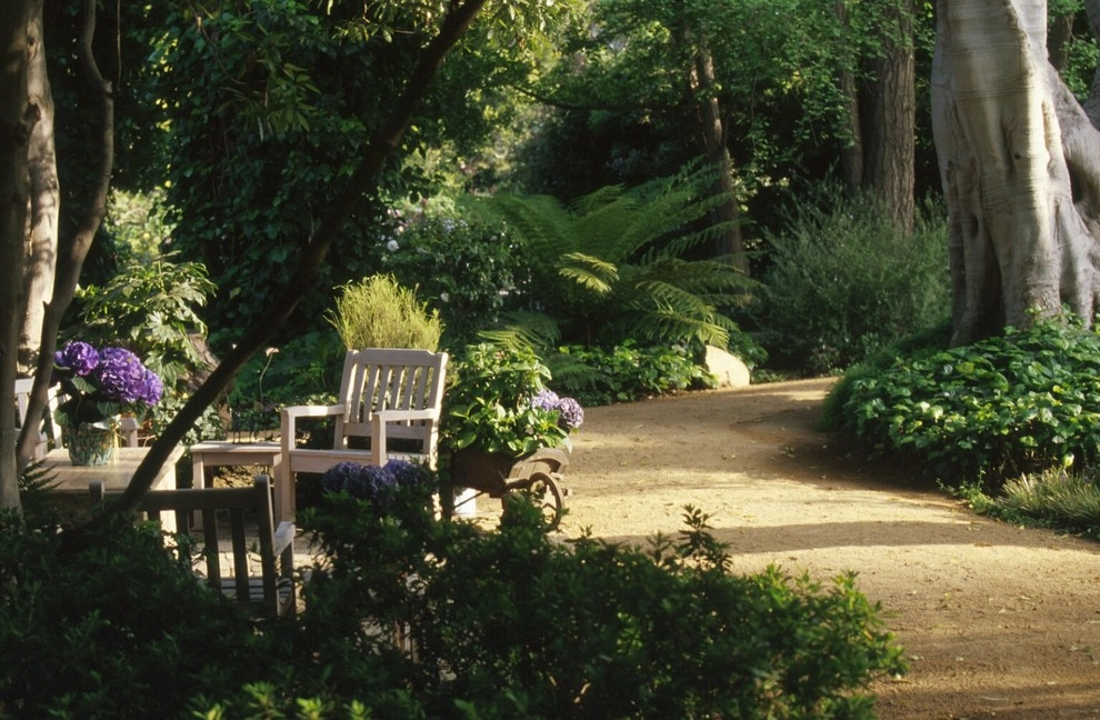 Garden Plantings by Graham Stanley & Associates - Photo 21
