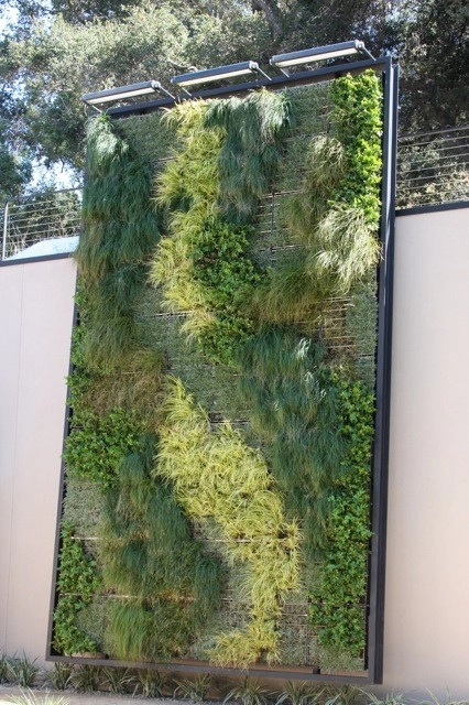 Green Walls by Graham Stanley & Associates - Photo 3