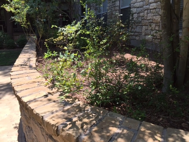 Fairview Texas Design/Installation Before & After Photos by Absolutely Bushed Landscaping - Photo 4