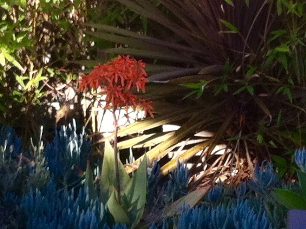 Landscape Gallery by Gravel And Green - Photo 4