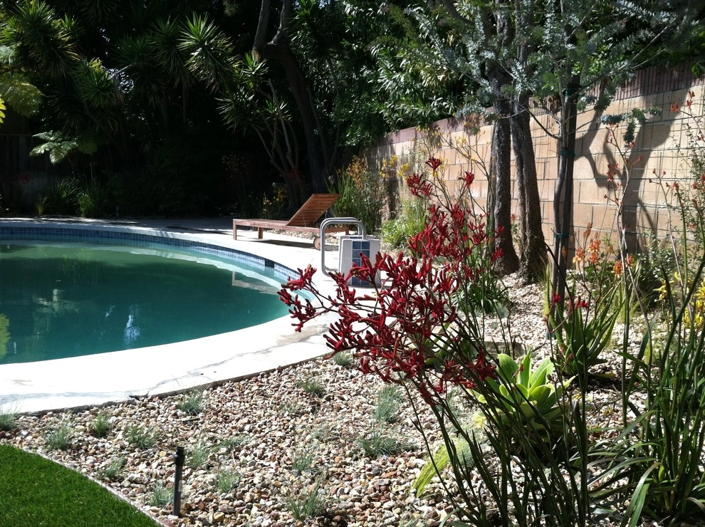 Backyards with Water Features, Pools and Spas by Gravel And Green - Photo 4