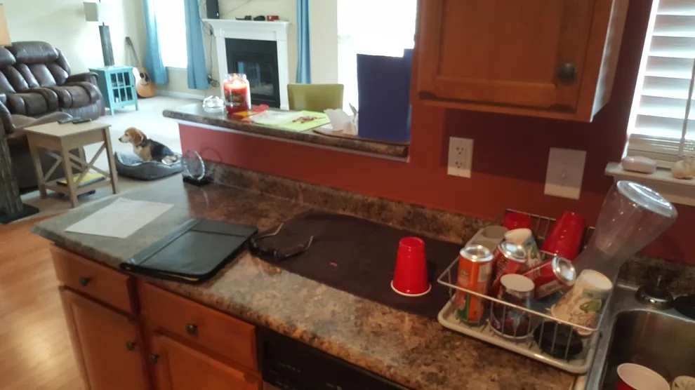 Pre and Post "Gentle Makeover" by Frank's Home Maintenance And General Contracting - Photo 7