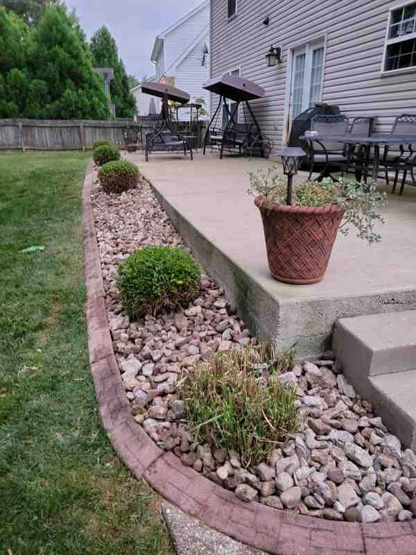 Alberto Alavez Professional Lawn Services LLC 3 by Alberto Alavez Professional Lawn Services LLC - Photo 75