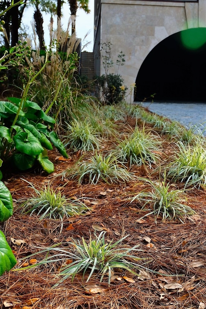 Kiawah Island by Green Grass Landscape Contractors - Photo 11