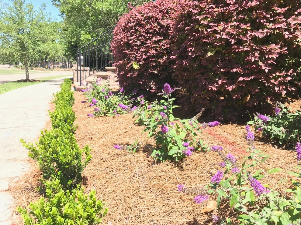Daniel Island Redesign by Green Grass Landscape Contractors - Photo 3