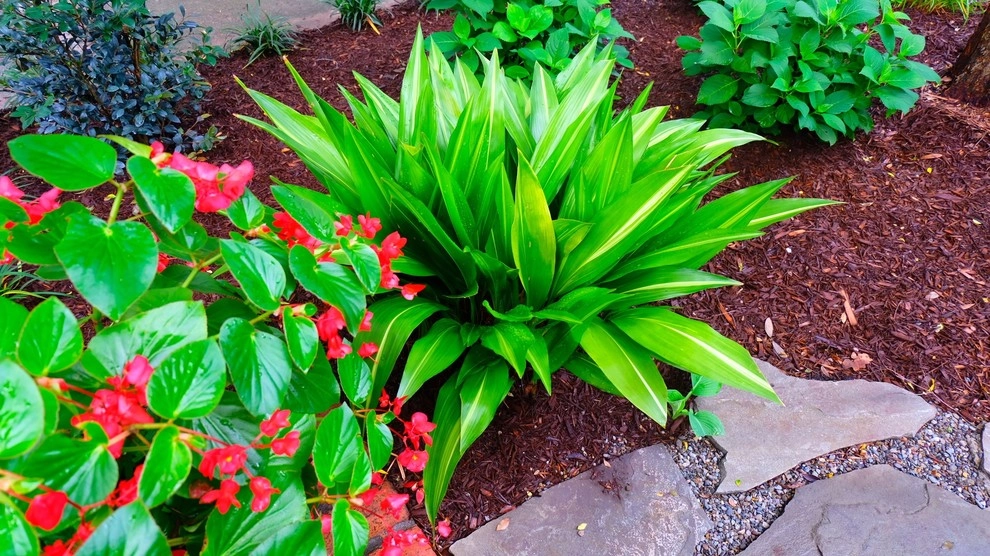 New look to old landscape by Green Grass Landscape Contractors - Photo 3