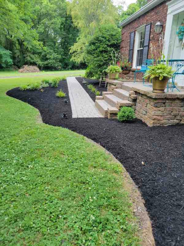 Alberto Alavez Professional Lawn Services LLC 3 by Alberto Alavez Professional Lawn Services LLC - Photo 24