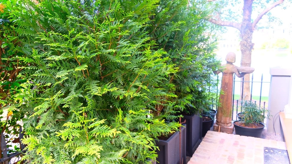Hideaway Sanctuary by Green Grass Landscape Contractors - Photo 13
