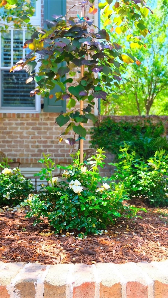 Courtyard Facelift by Green Grass Landscape Contractors - Photo 3