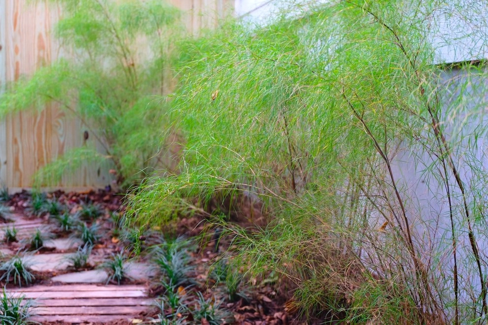 Old Village Rehab by Green Grass Landscape Contractors - Photo 3