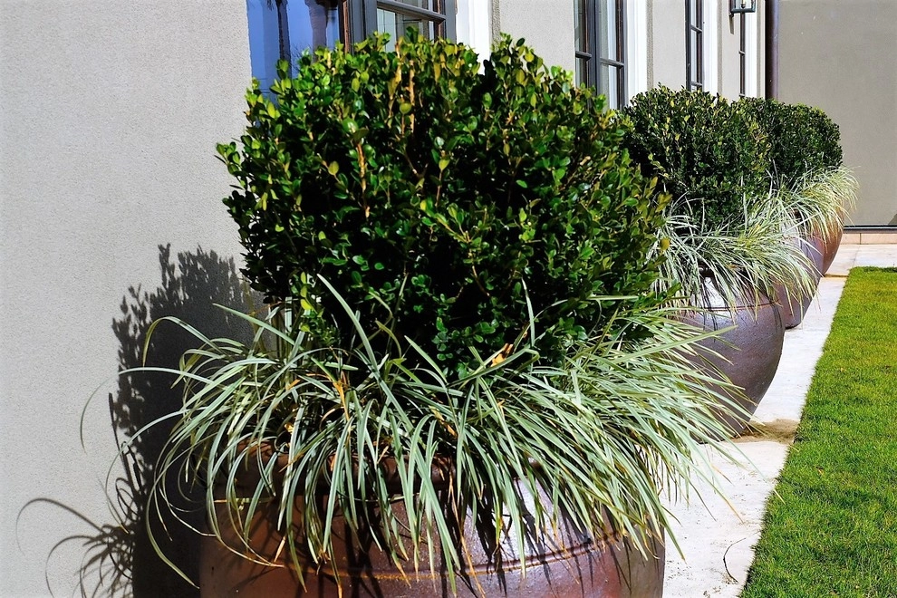Kiawah Island by Green Grass Landscape Contractors - Photo 15
