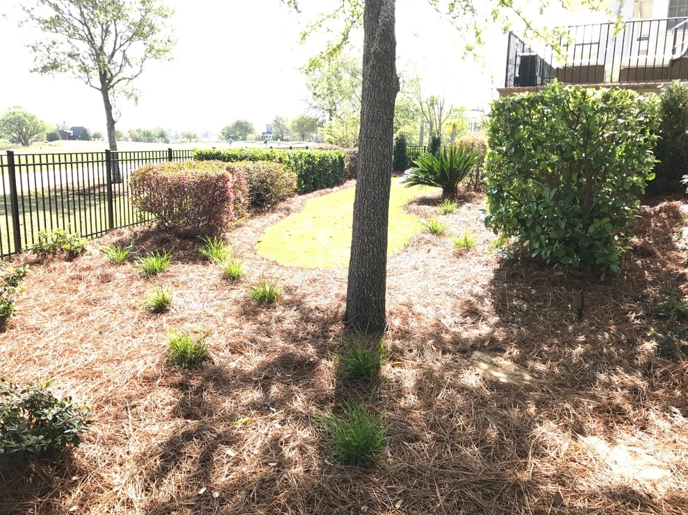 Daniel Island Redesign by Green Grass Landscape Contractors - Photo 8