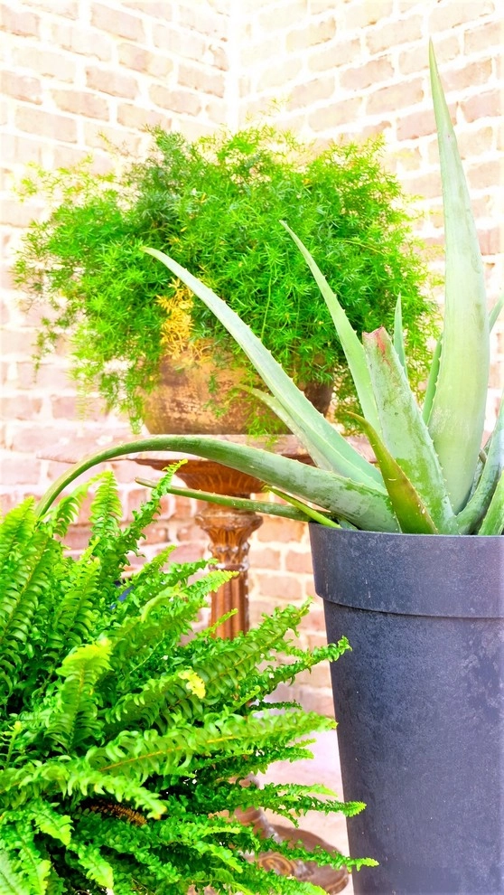 Courtyard Facelift by Green Grass Landscape Contractors - Photo 7