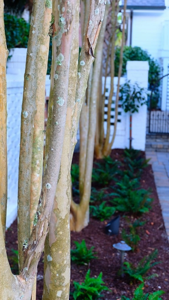 Green Grass Landscape Contractors - Photo 14