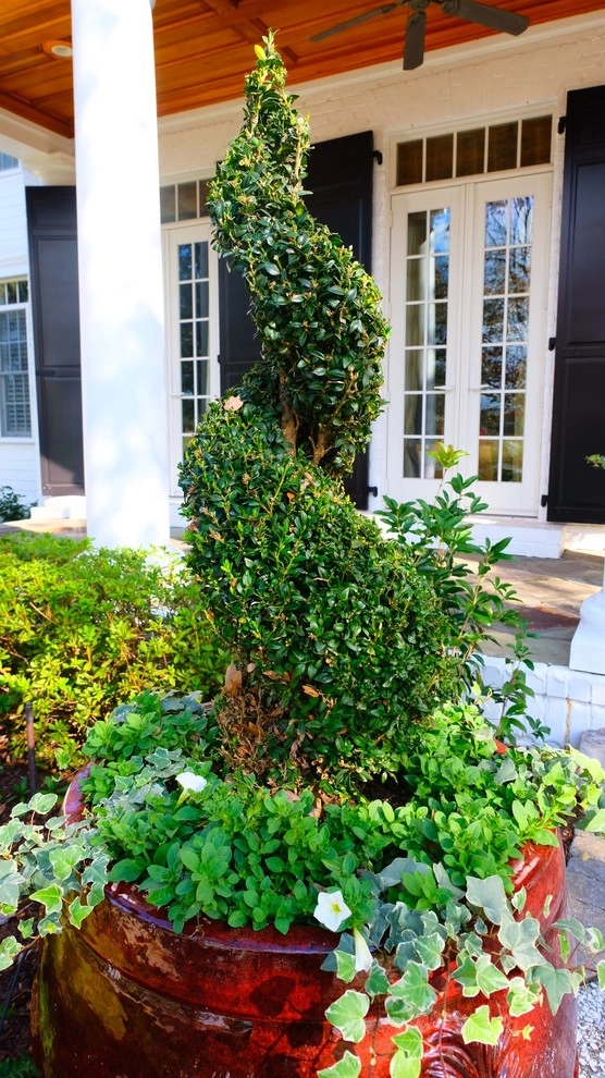 Daniel Island Do-Over by Green Grass Landscape Contractors - Photo 5