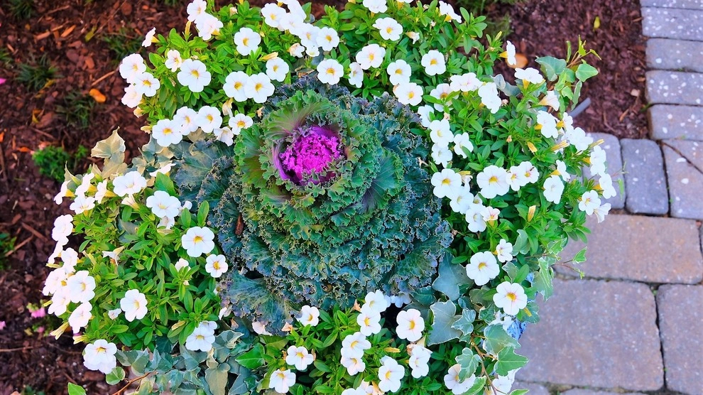 Daniel Island Do-Over by Green Grass Landscape Contractors - Photo 15