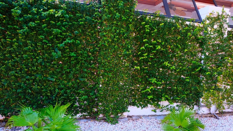 Daniel Island Do-Over by Green Grass Landscape Contractors - Photo 12