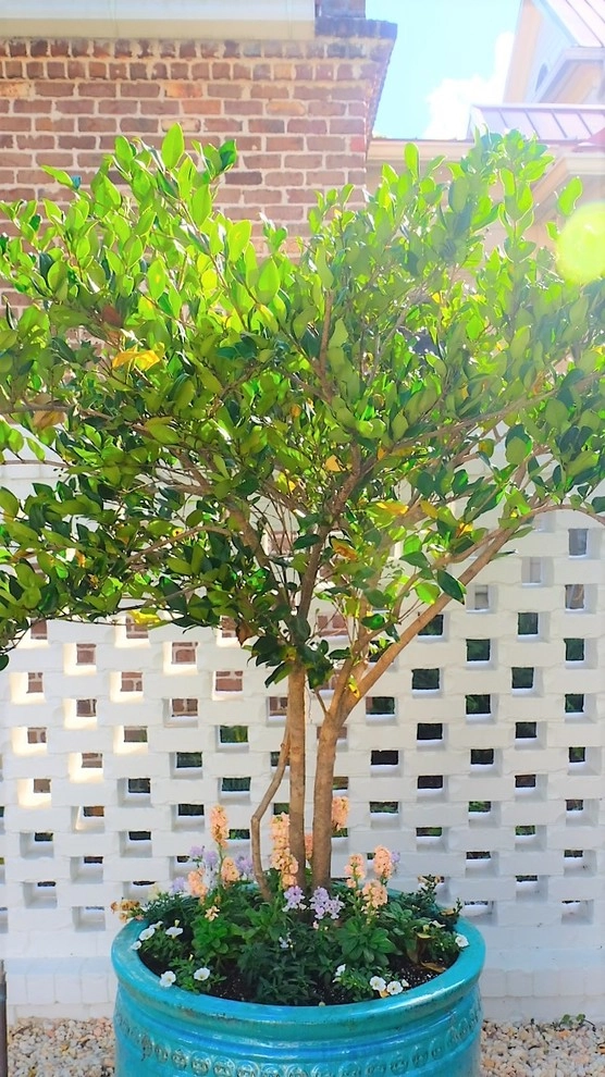 Daniel Island Do-Over by Green Grass Landscape Contractors - Photo 7