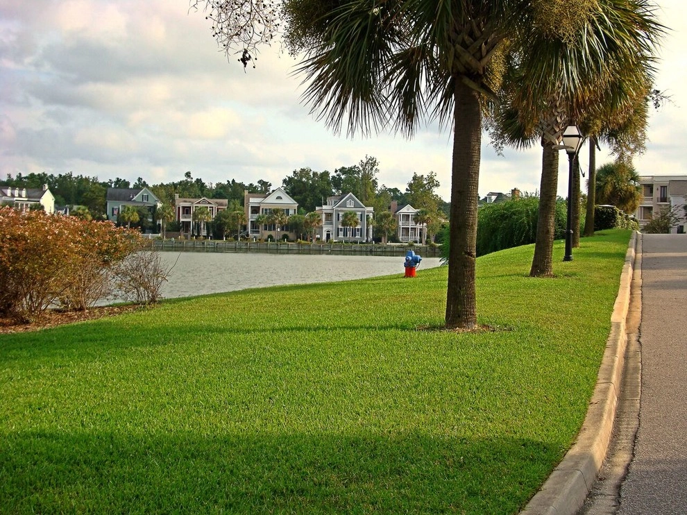 Action Sod & Landscape Gardens - Photo 7