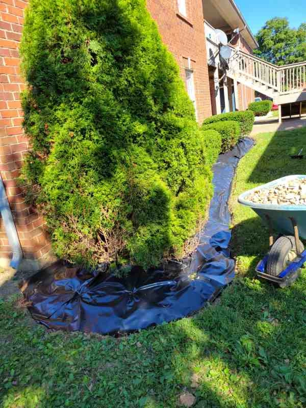 Alberto Alavez Professional Lawn Services LLC 3 by Alberto Alavez Professional Lawn Services LLC - Photo 18
