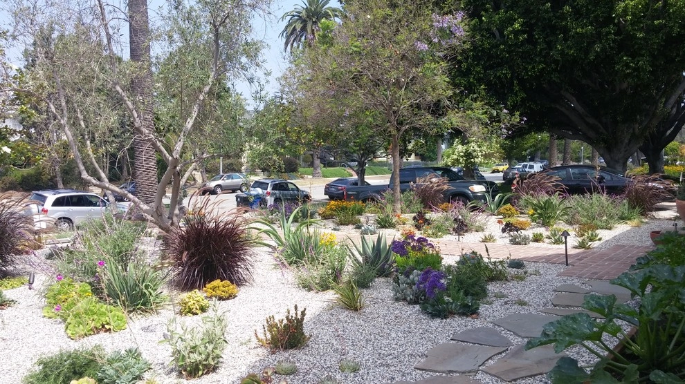 Windsor Square House Succulent Garden by Green Landscape Designs - Photo 5