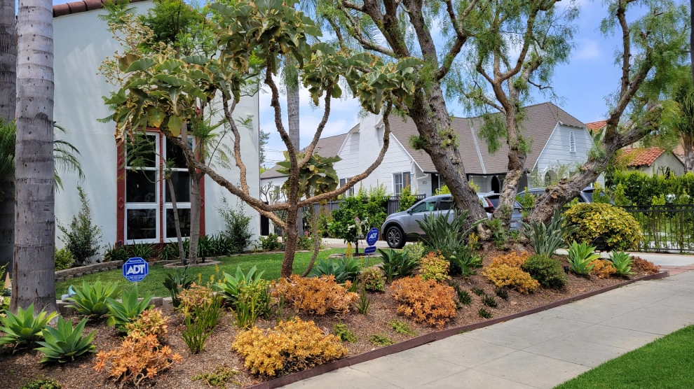 Mid-City by Green Landscape Designs - Photo 9
