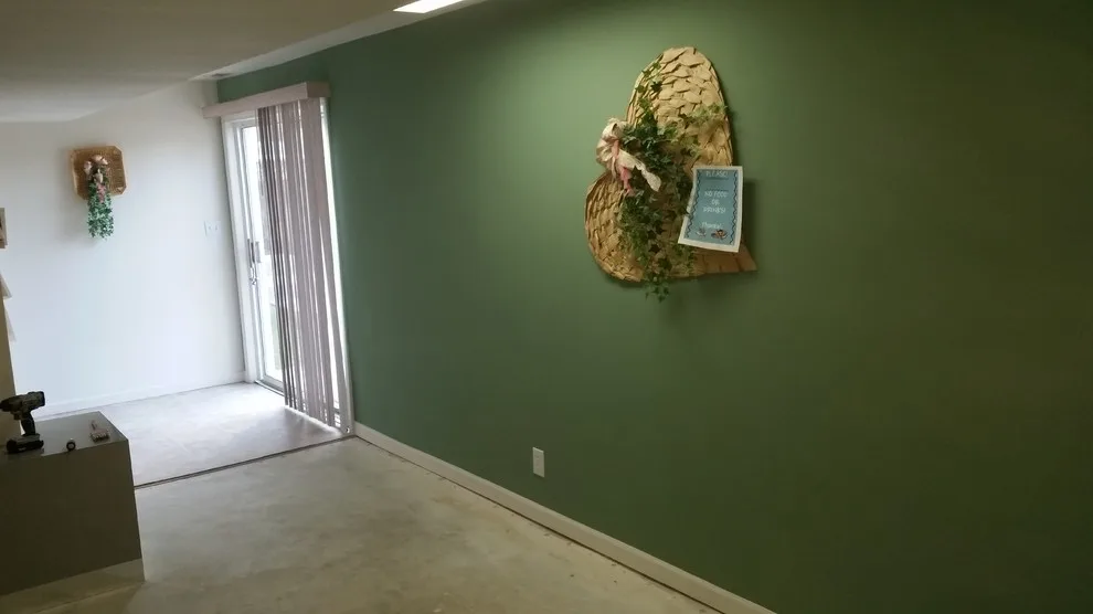Altman Drywall and Painting Initiative by Mister Fix-it LLC - Photo 5