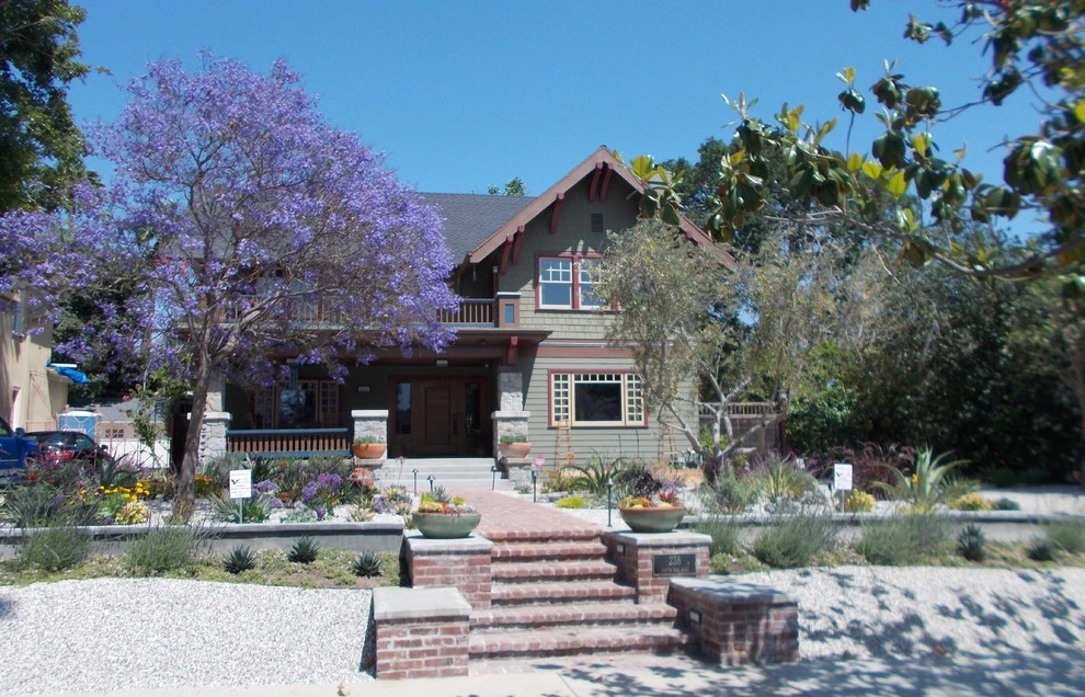 Windsor Square House Succulent Garden by Green Landscape Designs - Photo 4