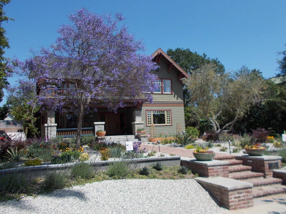 Windsor Square House Succulent Garden by Green Landscape Designs - Photo 3