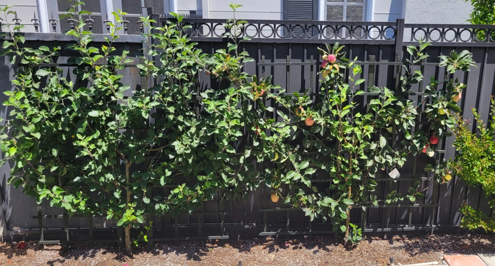 Mid-City by Green Landscape Designs - Photo 6