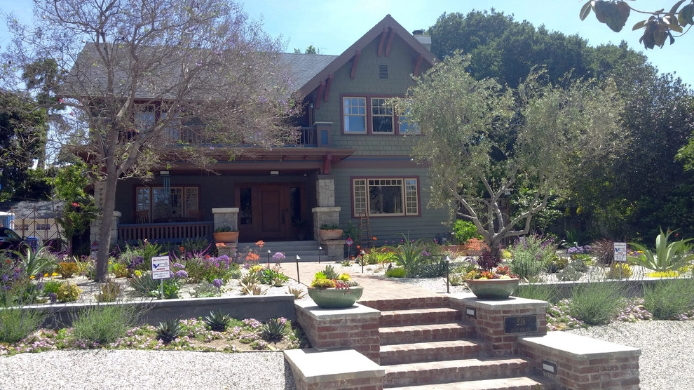 Windsor Square House Succulent Garden by Green Landscape Designs - Photo 6