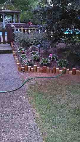 Alberto Alavez Professional Lawn Services LLC 3 by Alberto Alavez Professional Lawn Services LLC - Photo 30