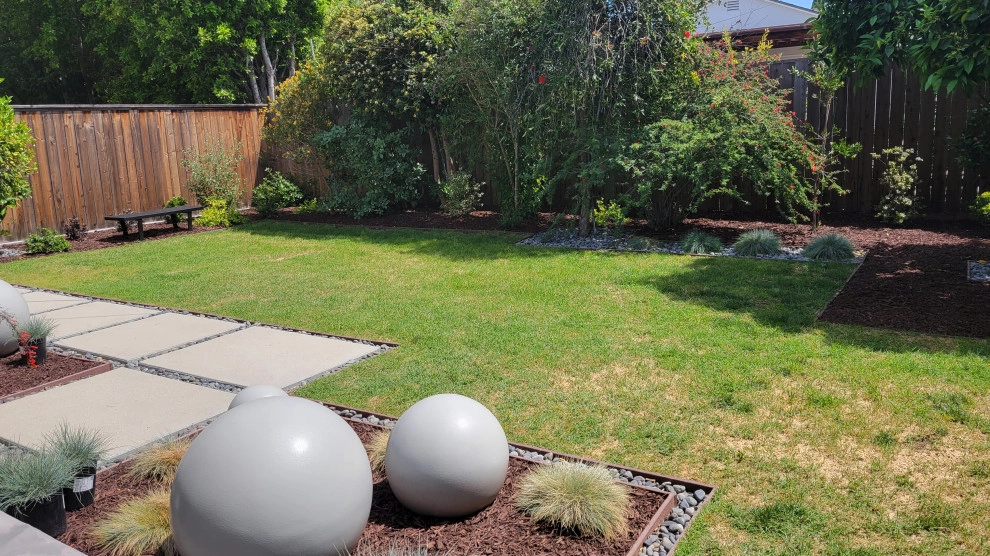 Encino Mid-Century Modern by Green Landscape Designs - Photo 6