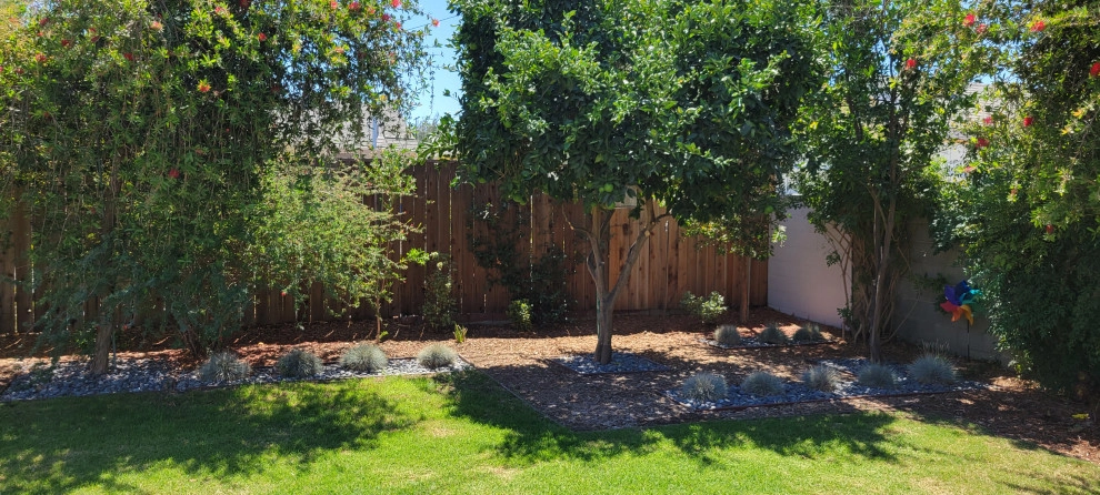 Encino Mid-Century Modern by Green Landscape Designs - Photo 4