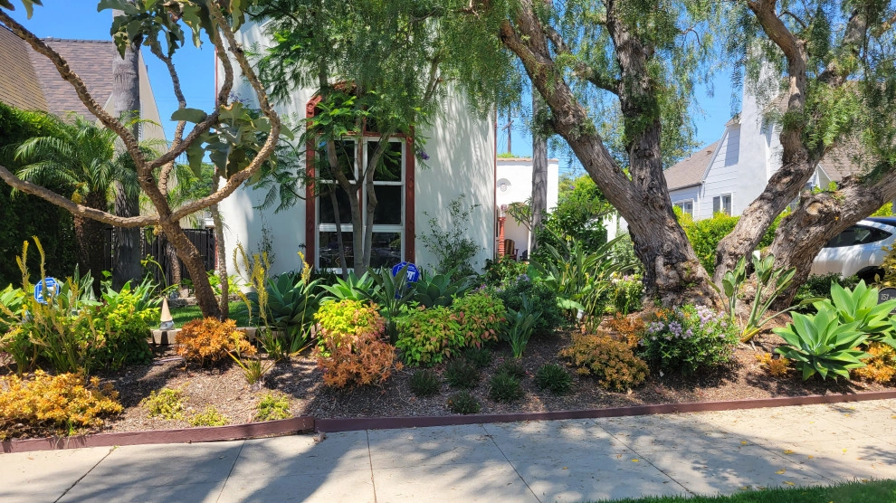 Mid-City by Green Landscape Designs - Photo 5