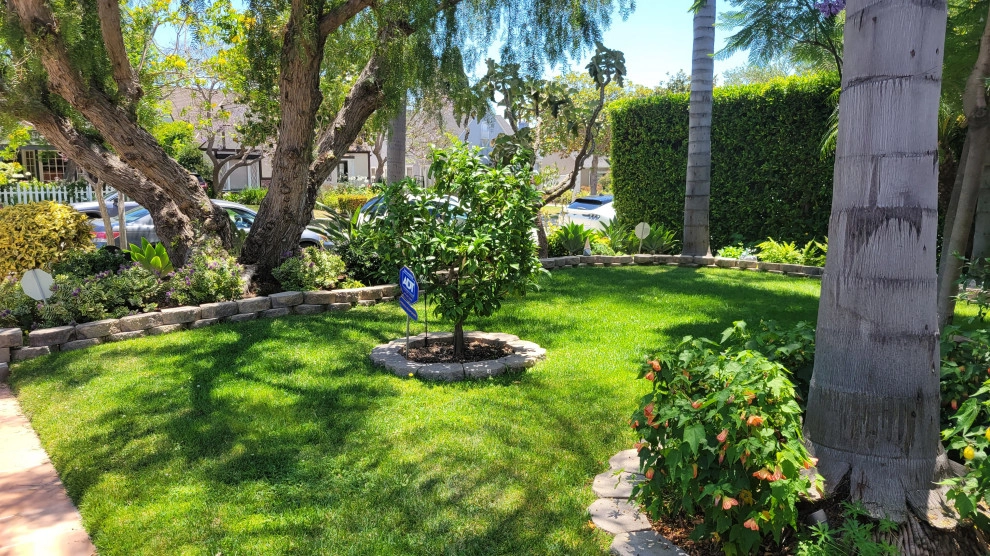 Mid-City by Green Landscape Designs - Photo 12