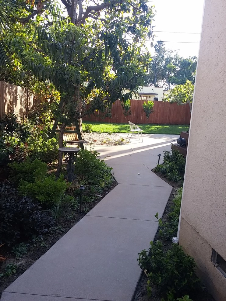 Culver City Landscape Redesign by Green Landscape Designs - Photo 5