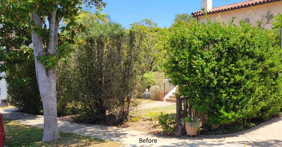 Cheviot Hills Hidden Gem by Green Landscape Designs - Photo 2