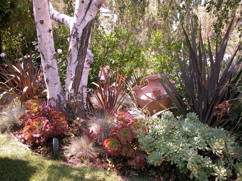 Calabasas Front Entry by Green Landscape Designs - Photo 2