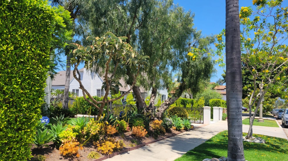 Mid-City by Green Landscape Designs - Photo 3