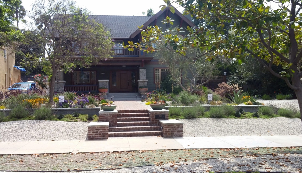 Windsor Square House Succulent Garden by Green Landscape Designs - Photo 2