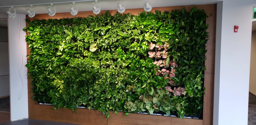 Green Oasis LLC - Photo 7