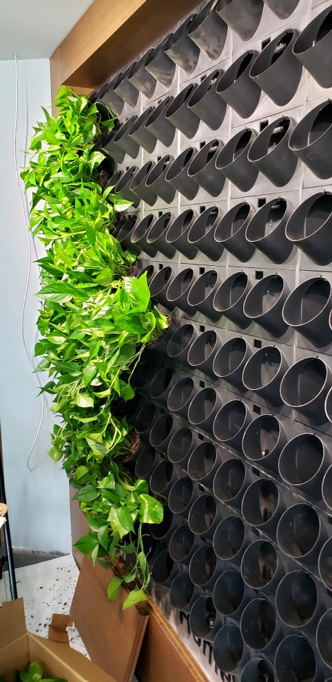 Green Oasis LLC - Photo 6