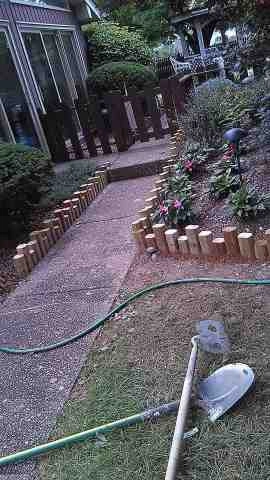 Alberto Alavez Professional Lawn Services LLC 3 by Alberto Alavez Professional Lawn Services LLC - Photo 48