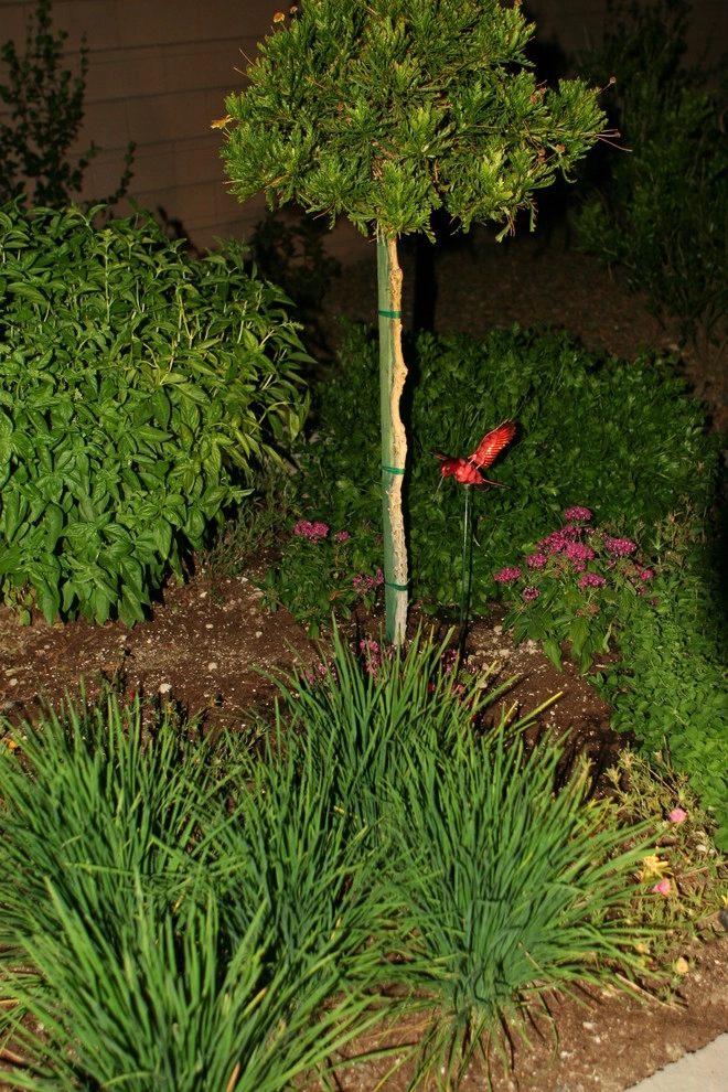 Deborah & Roger W by Green Planet Landscaping Pools & Spa - Photo 2